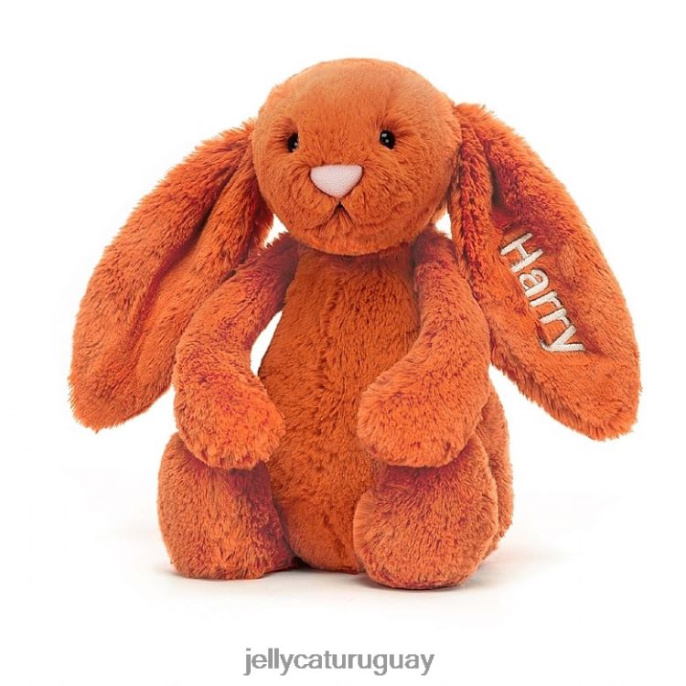 juguete Jellycat personalizado tímido conejito mandarina naranja medio T88T62502