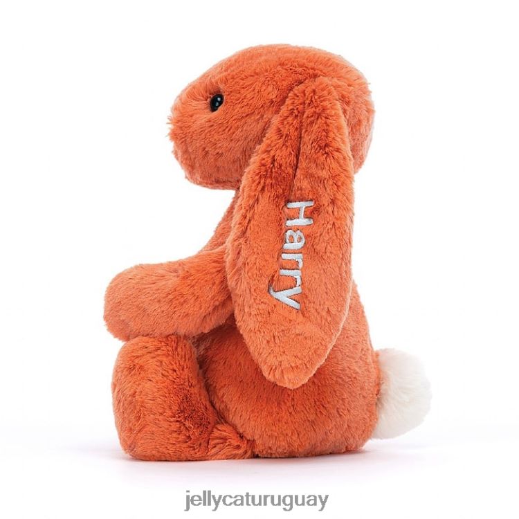 juguete Jellycat personalizado tímido conejito mandarina naranja medio T88T62502
