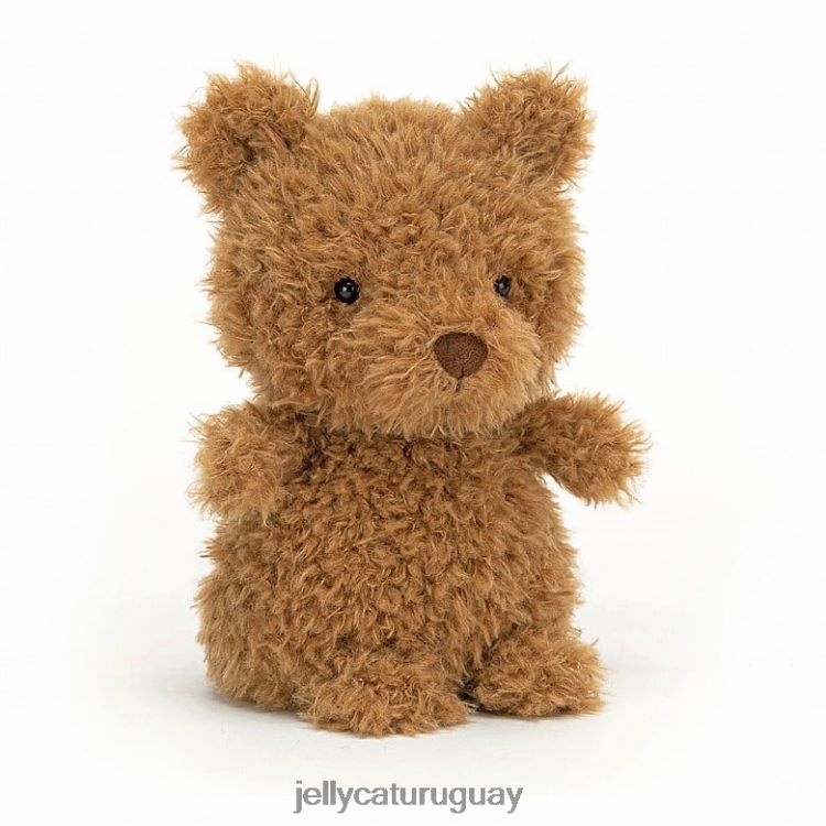 libro Jellycat Podría ser un librito y un osito marrón. T88T62726
